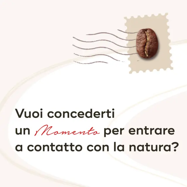 Può capitare di sentire la necessità, magari dopo un periodo particolarmente stressante, di provare a riconnettersi con la natura. Esiste un caffè in grado di ricreare, anche solo per un momento, quella sensazione? Scorri le immagini per scoprirlo...

#hausbrandt #caffehausbrandt #coffeelovers #coffeetime #natura #bio #caffè #nature