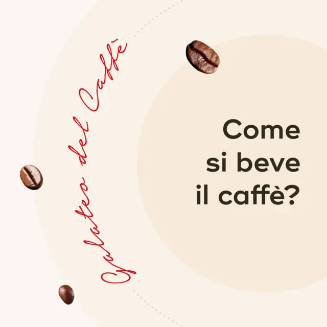 ☕ Quali sono le regole del Galateo per bere un caffè con la massima classe? 
Scorri le immagini per soddisfare la tua curiosità ✌️

#hausbrandt #caffehausbrandt #coffeelovers #coffeetime #galateo