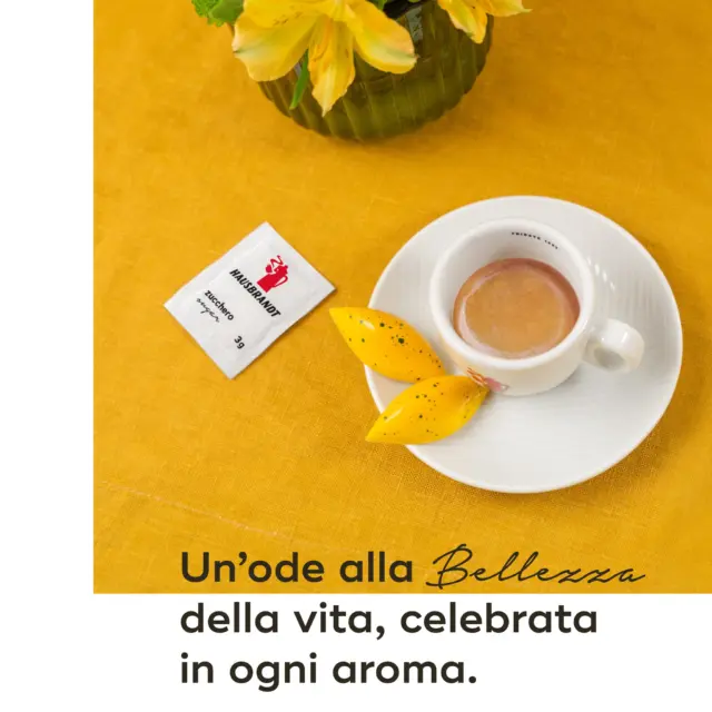 Ogni mattina, una tazza di caffè non è solo un rituale, è l'inizio di un nuovo capitolo. Tra l'aroma avvolgente e il calore della tazzina, trovi l'ispirazione per affrontare la giornata, un sorso alla volta.

#hausbrandt #caffehausbrandt #coffeelovers #coffeetime #coffee