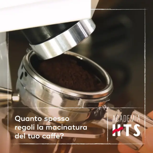 Per ottenere un espresso perfetto occorre prestare attenzione ad ogni singolo passaggio, dalla selezione dei chicchi al servizio. Un aspetto da non trascurare è ad esempio la macinatura del caffè e, in particolare, come questa viene regolata.
Per trattare questi argomenti nello specifico e fornire la nostra esperienza abbiamo creato Academia HTS, punto di riferimento per la formazione e la crescita nell’arte dell’accoglienza. Il nostro team di docenti specializzati guida i professionisti dell’ospitalità ad approfondire le proprie competenze, trasmettendo conoscenze e abilità, attraverso la scoperta del mondo Hausbrandt. Scori di più sul sito ➡ academiahts.it

#hausbrandt #AcademiaHTS #caffehausbrandt #coffeelovers #formazione #coffeegram #coffeetips #coffeeart #hotellerie #coffeehotel #coffeetime